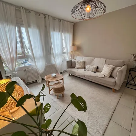 アパート Le Bellevue - Gare & Les Jardins Darcy - T3 - Parking Free ディジョン