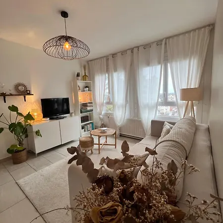 Le Bellevue - Gare & Les Jardins Darcy - T3 - Parking Free