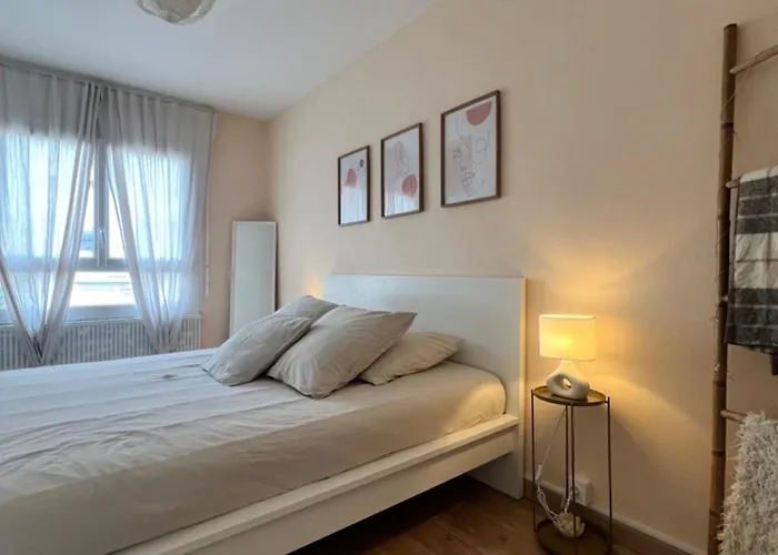 Le Bellevue - Gare & Les Jardins Darcy - T3 - Parking Free *