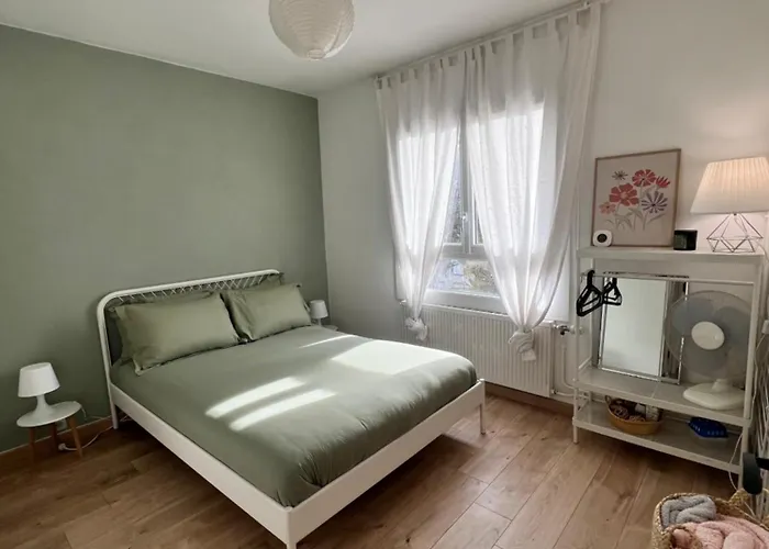 Le Bellevue - Gare & Les Jardins Darcy - T3 - Parking Free Apartmán Dijon