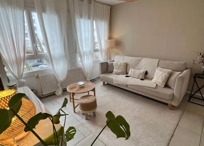 Apartment Le Bellevue - Gare & Les Jardins Darcy - T3 - Parking Free Dijon