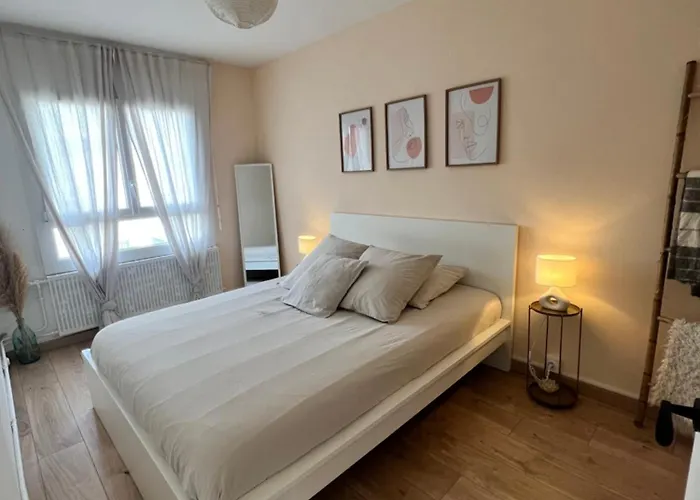 Le Bellevue - Gare & Les Jardins Darcy - T3 - Parking Free Apartment